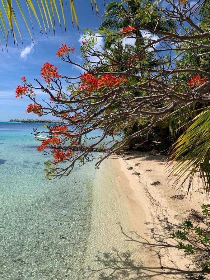 Hotel Maitai Bora Bora Esterno foto
