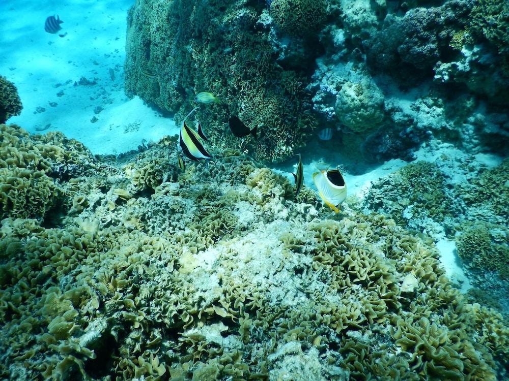 Hotel Maitai Bora Bora Esterno foto